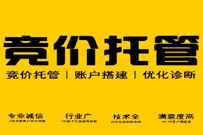竞价托管SEM案例分析：提升品牌曝光度